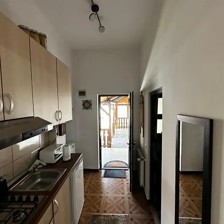 Borkum Apartment Sibiu Exterior photo